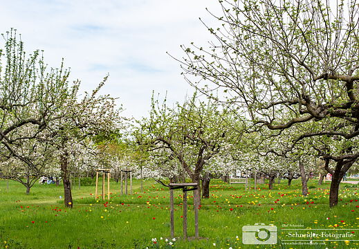 Britzer Garten