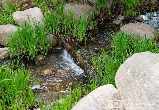 Britzer Garten