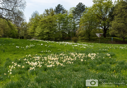 Britzer Garten