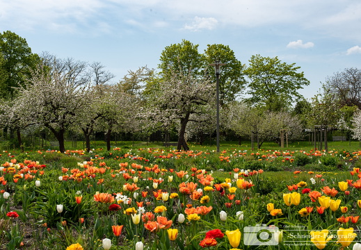Britzer Garten