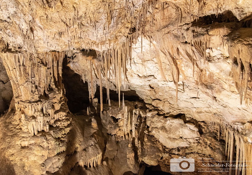 Coves del Drac