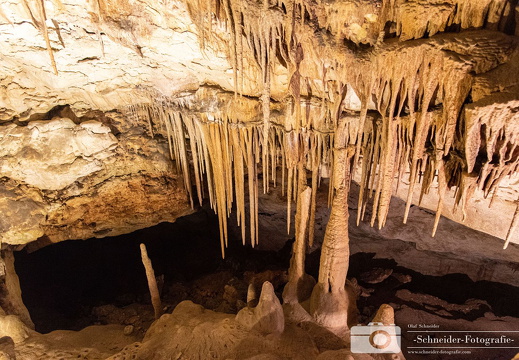 Coves del Drac