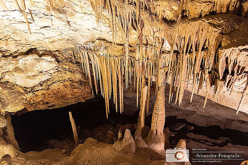 Coves del Drac
