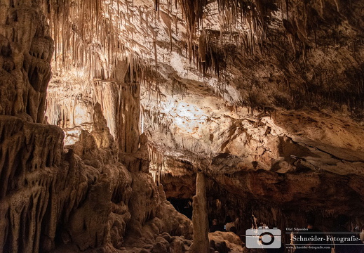 Coves del Drac