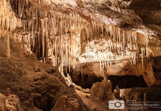 Coves del Drac