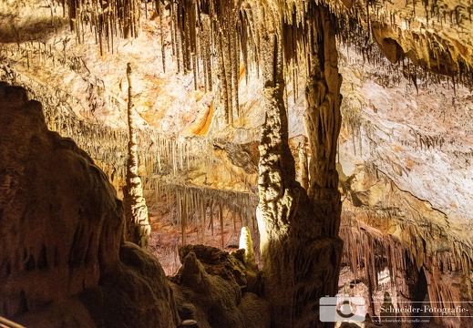 Coves del Drac