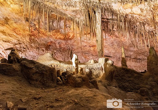 Coves del Drac