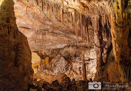 Coves del Drac