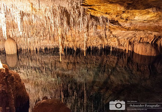 Coves del Drac
