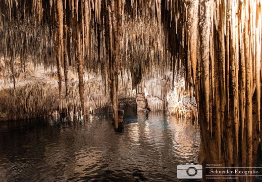 Coves del Drac