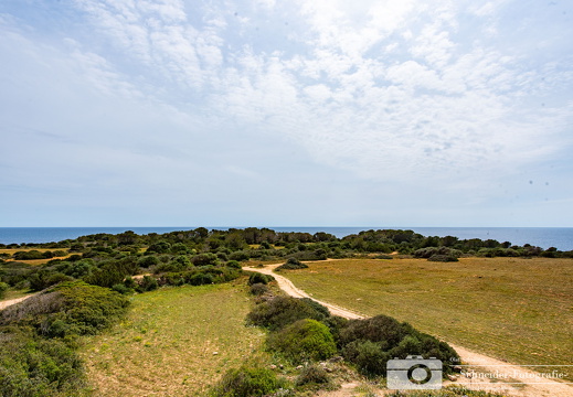 Cala Millor