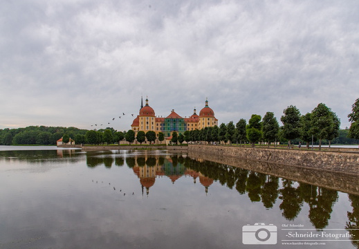 Moritzburg
