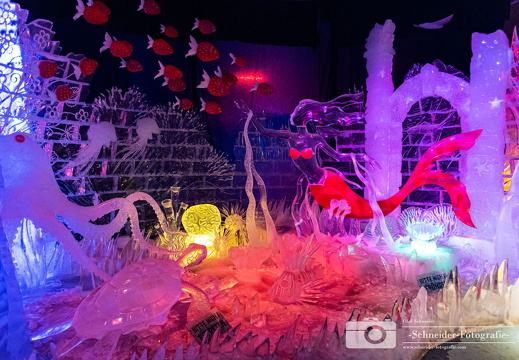 Eiswelt