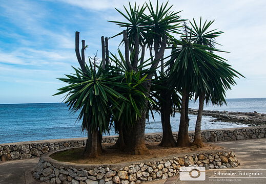 Cala Millor