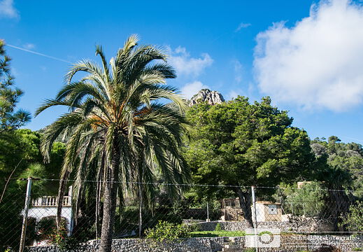 Cala Millor