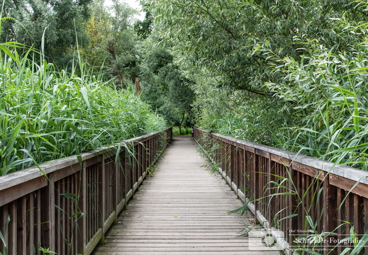 Holzbrücke Rudow