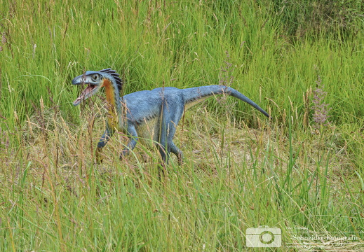 Freizeitpark Germendorf