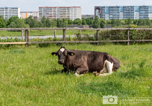 Landschaftspark Rudow-Altglienicke