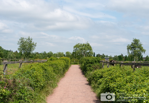 Landschaftspark Rudow-Altglienicke