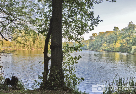Amtssee Chorin