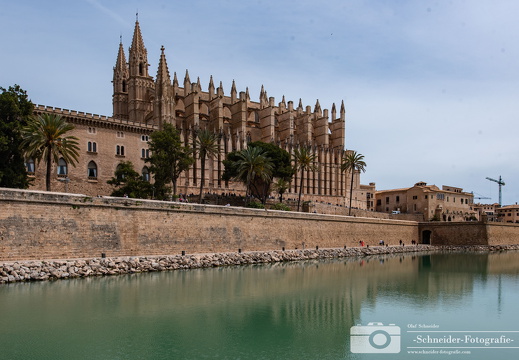 Palma