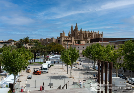 Palma