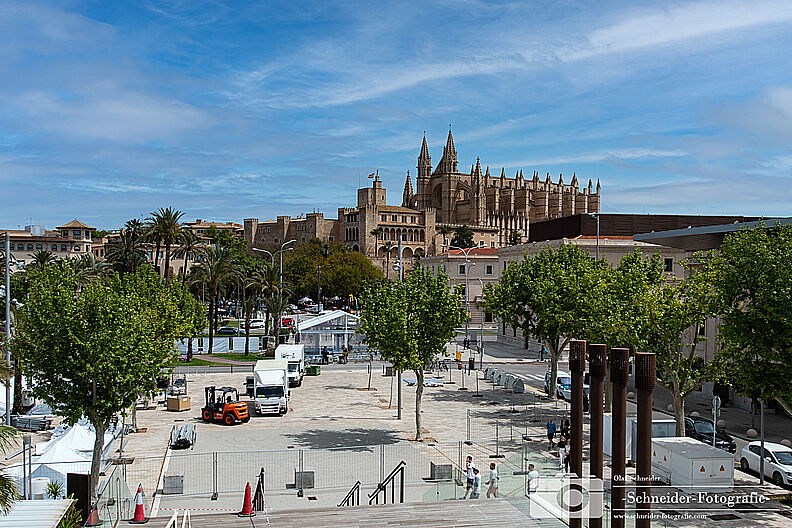 Palma