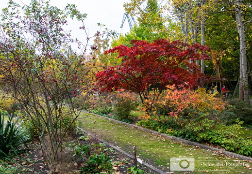Familiengarten