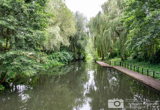 Lübbenau (Spreewald)