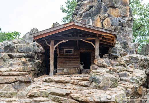 Steinbock