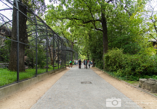 Zoo Berlin