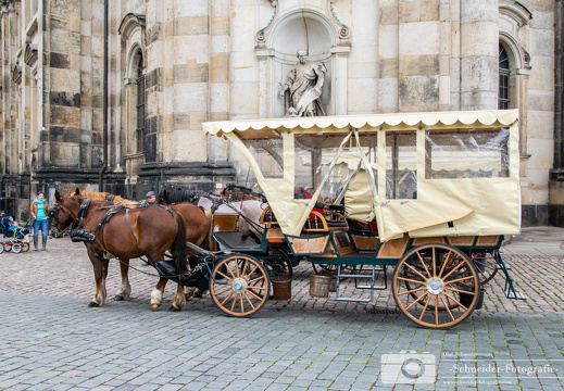 Kutschfahrten in Dresden