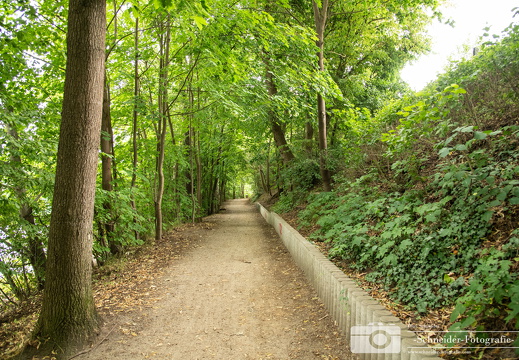 See-Wanderweg