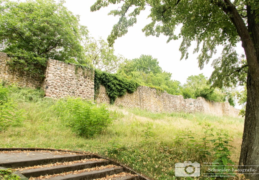 Stadtmauer Strausberg