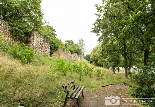 Stadtmauer Strausberg