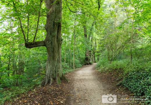 See-Wanderweg