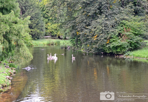 Park Sanssouci