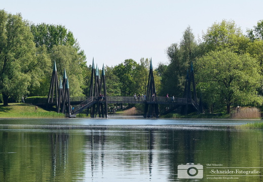 Rhizomatische Brücke