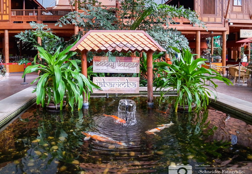 Tropical Islands Resort
