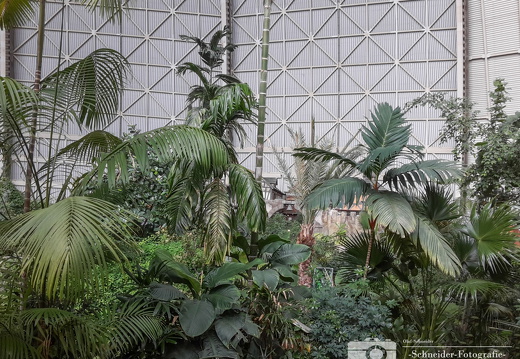 Tropical Islands Resort
