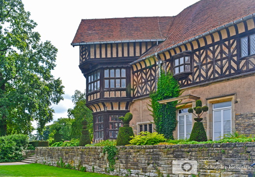 Neuer Garten