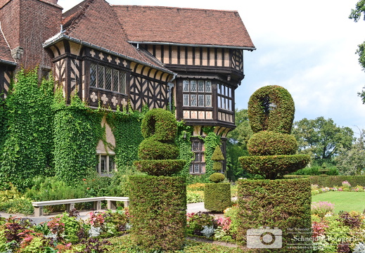 Neuer Garten