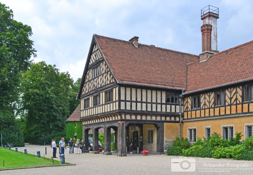 Neuer Garten
