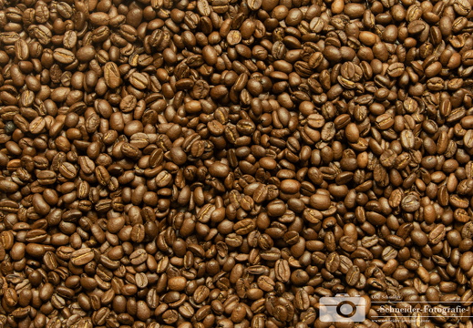 Kaffeebohnen