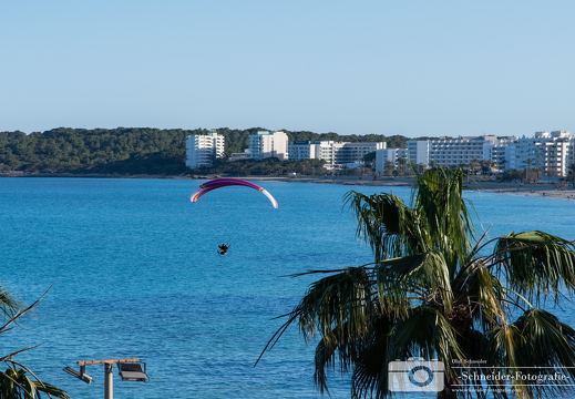 Paraglider