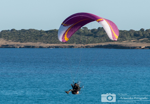 Paraglider