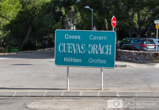 zu Coves del Drac