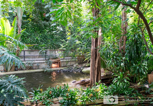 Biosphäre