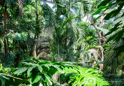 Biosphäre