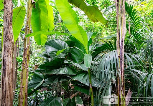 Biosphäre